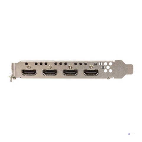 Karta graf. SPARKLE Intel Arc A310 Omni View 4GB (OUTLET)