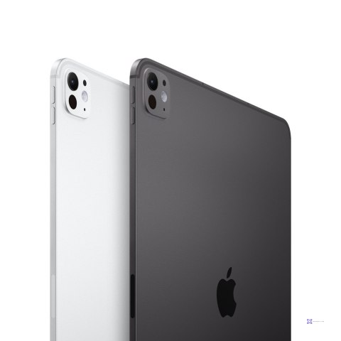 Apple iPad Pro 11'' (M5) Wi-Fi + Cellular 5G 1TB Standard Glass Space Black