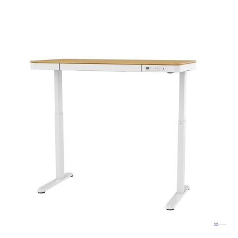 Biurko ACTIVEJET z el.reg.wys. 120x60 ET119S bi/dąd