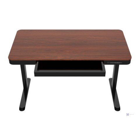Biurko ACTIVEJET z el.reg.wys. 120x60 ET119S cz/orz