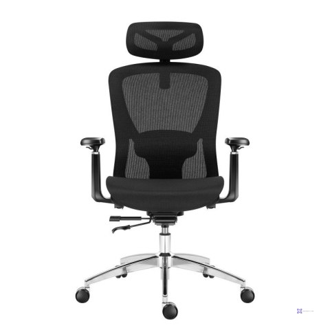 Fotel obrotowy Expert 5.3 Black Mesh