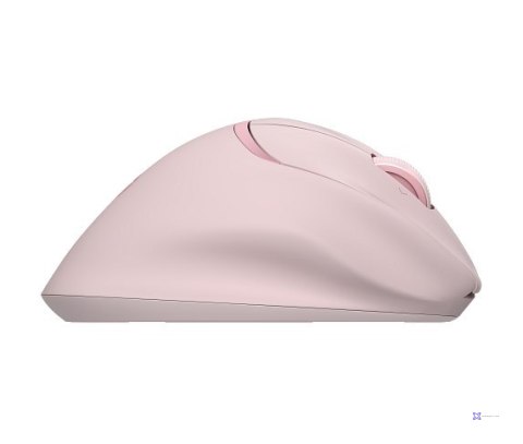 Mysz HP Tilt Ergonomic Pink Mouse 720M Wireless / Bluetooth bezprzewodowa różowa BH7N4AA