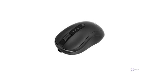 Mysz Gembird MUSW2-4B-01 czarna