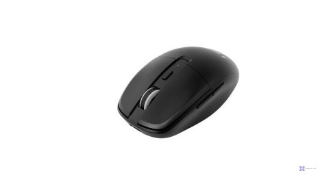 Mysz Gembird MUSW2-6B-01 czarna