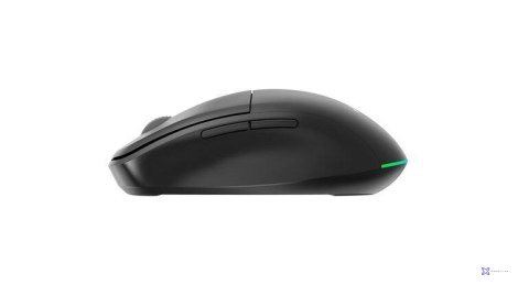 Mysz Gembird MUSW2-6B-01 czarna