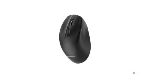 Mysz Gembird MUSW2-6B-02