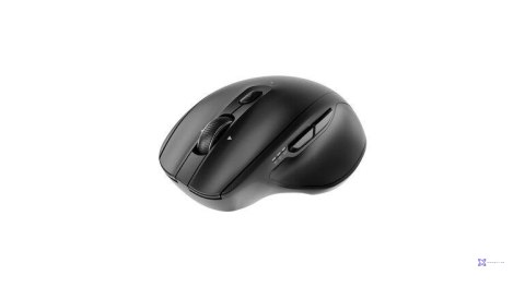 Mysz Gembird MUSW2-6B-02