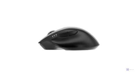 Mysz Gembird MUSW2-6B-02