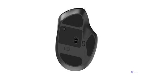 Mysz Gembird MUSW2-6B-02