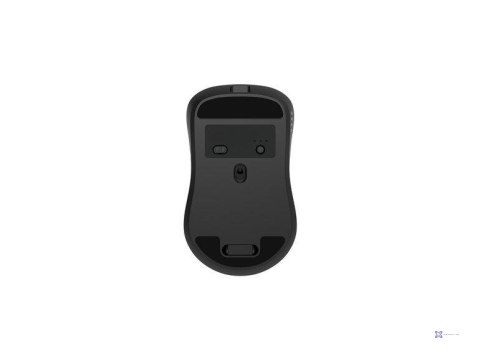 Mysz Gembird MUSW2-7B-01