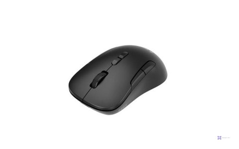 Mysz Gembird MUSW2-7B-01