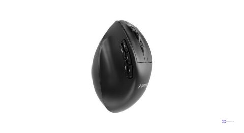 Mysz Gembird MUSW3-9B-01
