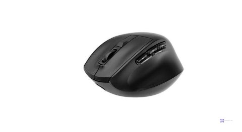Mysz Gembird MUSW3-9B-01