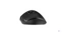 Mysz Gembird MUSW3-9B-01
