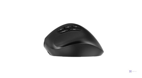 Mysz Gembird MUSW3-9B-01