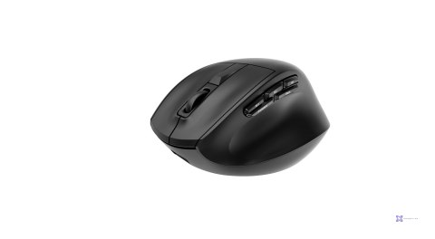 GEMBIRD BEZPRZEWODOWA, ERGONOMICZNA MYSZ TRI MODE (2.4G + BT + USB) 2400 DPI, 9 PRZYCISKÓW, CZARNA