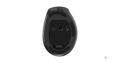 GEMBIRD BEZPRZEWODOWA, ERGONOMICZNA MYSZ TRI MODE (2.4G + BT + USB) 2400 DPI, 9 PRZYCISKÓW, CZARNA
