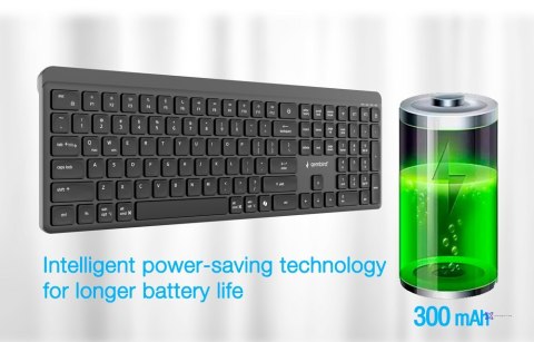 GEMBIRD BEZPRZEWODOWY ZESTAW KLAWIATURY + MYSZ SLIM PRO BUSINESS, DUAL MODE, 2,4 GHZ + BT, UKŁAD US, KOLOR CZARNY