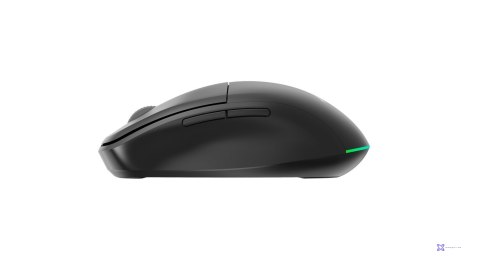 GEMBIRD MYSZ BEZPRZEWODOWA DUAL-MODE (2.4G + BT) 1600 DPI, 6 PRZYCISKÓW, KOLOR CZARNY