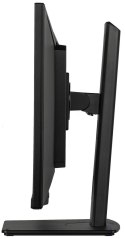 MONITOR IIYAMA LED 34" XUB3493WQSU-B6 120Hz