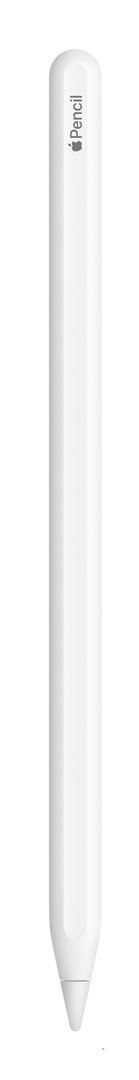 Apple Pencil (2. gen.) (OUTLET)