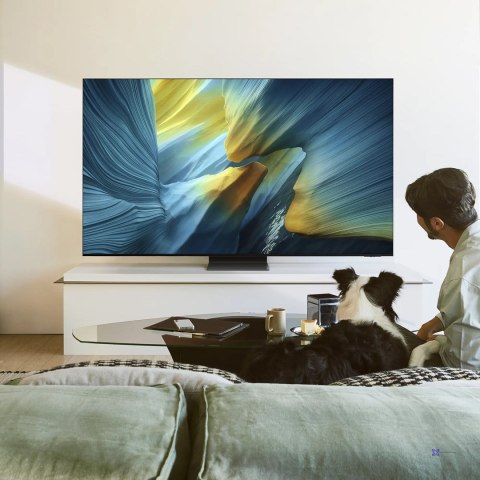 Telewizor Samsung QE65S95F OLED 65'' 4K Ultra HD 165 Hz Tizen Dolby Atmos Czarny (OUTLET)