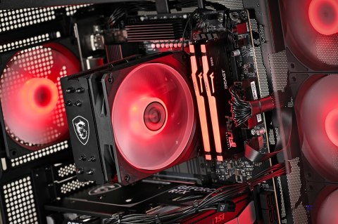 Actina PBM 5600/16GB/500GB/RTX5060/650W/W11H
