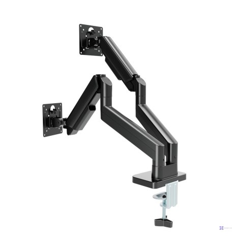 GEMBIRD BIURKOWE RAMIĘ/UCHWYT NA DWA MONITORY (REGULOWANE) 17"-32", OBCIĄŻENIE DO 10KG, KOLOR CZARNY