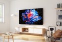 Telewizor TCL 55V6C DLED 55'' 4K Ultra HD Google TV Dolby Atmos DVB-T2 Metaliczny (WYPRZEDAŻ)