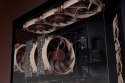 Wentylator NOCTUA 120mm NF-A12x25 G2 LS-PWM