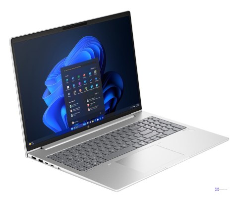 HP ProBook 465 G11 Ryzen 5 7535U 16"WUXGA AG IPS 16GB DDR5 SSD512 Radeon 660M 56Wh Win11 2Y OnSite Pike Silver TCO (OUTLET)