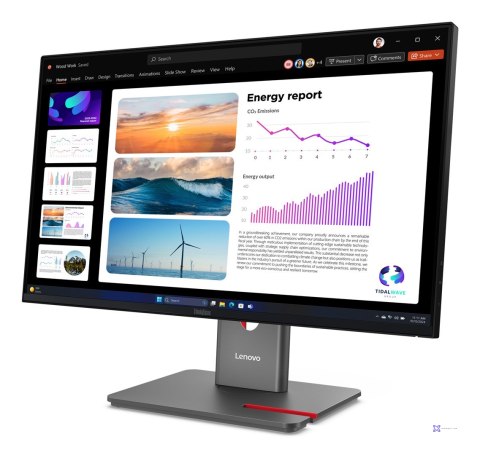 Lenovo ThinkVision P24Q-40 23.8"QHD 120Hz 300nits AG USB HDMI DP Raven Black