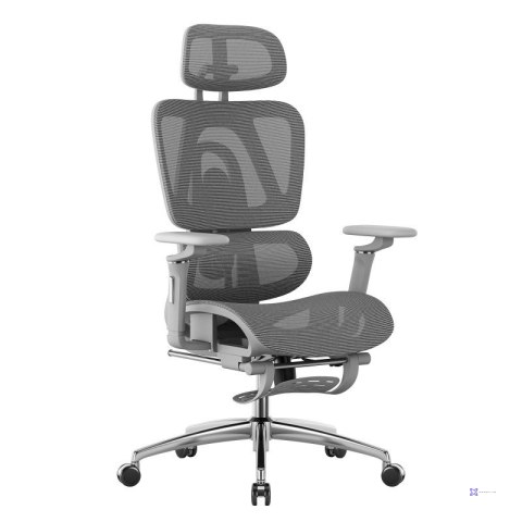 Fotel obrotowy Expert 7.9 Grey