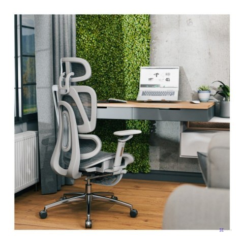 Fotel obrotowy Expert 7.9 Grey