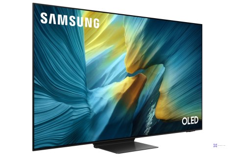 Telewizor Samsung QE55S95FATXXH OLED 55'' 4K Ultra HD 165Hz Tizen Dolby Atmos Czarny (OUTLET)