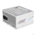 Zasilacz Gigabyte Aorus Elite Platinum ATX 3.1 ICE 850W