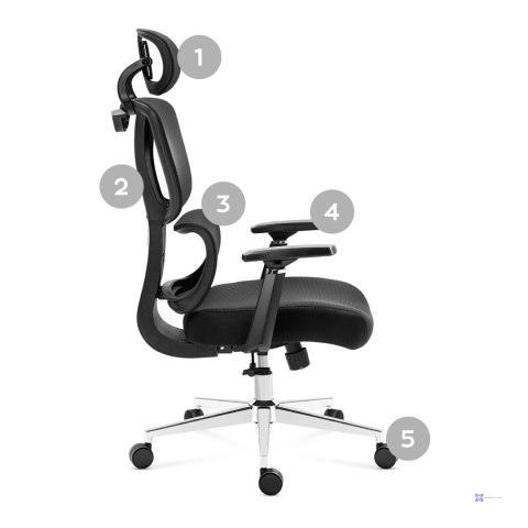 Fotel obrotowy Expert 4.6 Black