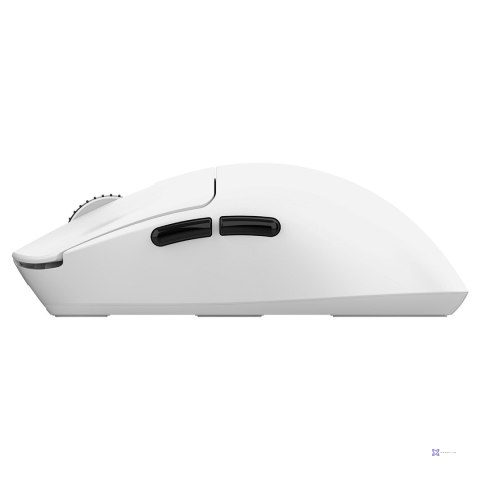 RAMPAGE MYSZ CLAX BIAŁA 24 000 DPI
