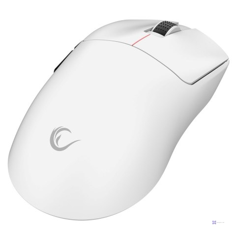 RAMPAGE MYSZ CLAX BIAŁA 24 000 DPI