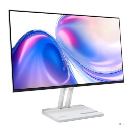 Lenovo L24-46 23.8