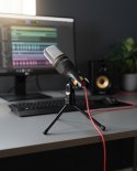 Mikrofon Esperanza STUDIO PRO EH182 (kolor czarny)