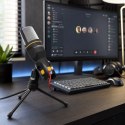 Mikrofon Esperanza STUDIO PRO EH182 (kolor czarny)