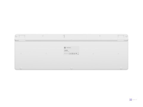 NATEC KLAWIATURA TANG US BEZPRZEWODOWA BT + 2.4GHZ CICHA SLIM BIAŁA