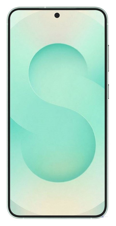 Samsung Galaxy S25 (S931) 5G DS 12/256GB Mint