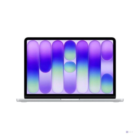 Notebook Apple MacBook Neo 13"/Apple A18 Pro (6/5)/8GB/256GB/macOS Silver + ładowarka Apple w zestawie