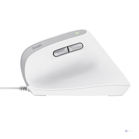 Mysz Trust BAYO II ERGONOMIC White