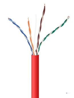 Kabel sieciowy UTP Gembird UPC-5004E-SOL-R kat. 5e drut 305m (czerwony)