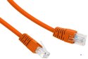 Kabel sieciowy UTP Gembird PP12-0.5M/O kat. 5e, Patch cord RJ-45 (0,5 m)